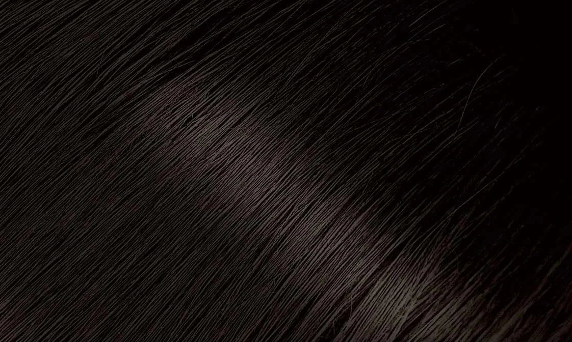 <transcy>BIGEN HAIR COLOR</transcy>