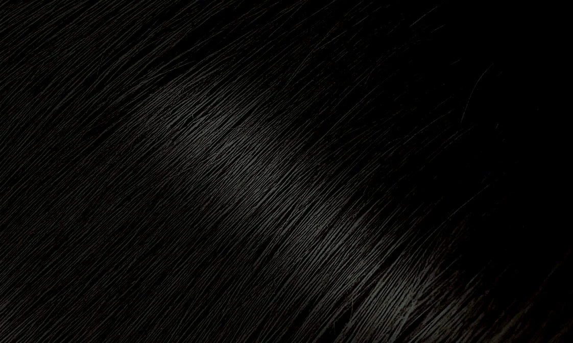 <transcy>BIGEN HAIR COLOR</transcy>