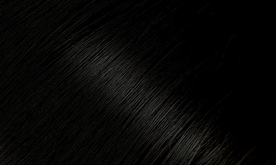 <transcy>BIGEN HAIR COLOR</transcy>