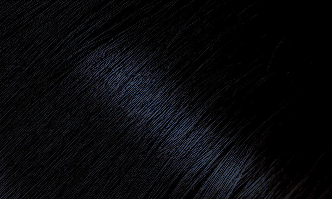 <transcy>BIGEN HAIR COLOR</transcy>