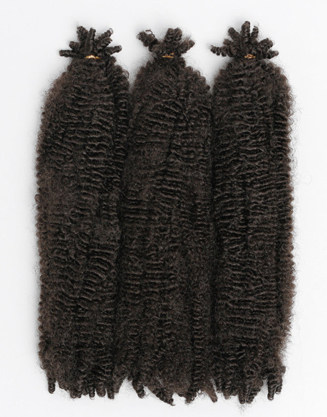 X-Pression Twisted Up Springy Afro Twist 30"