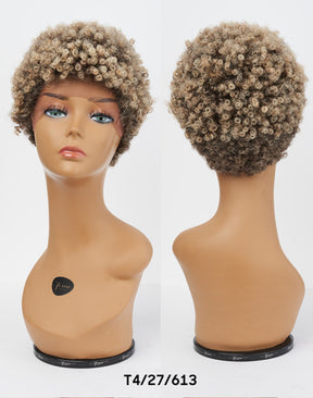 Afro Lace Wig - Classic Kinks