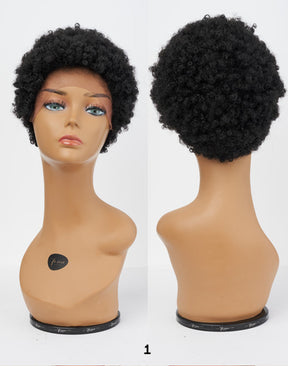 Afro Lace Wig - Classic Kinks