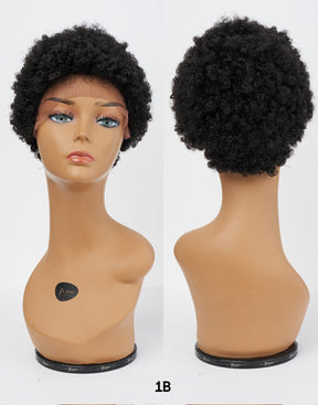 Afro Lace Wig - Classic Kinks