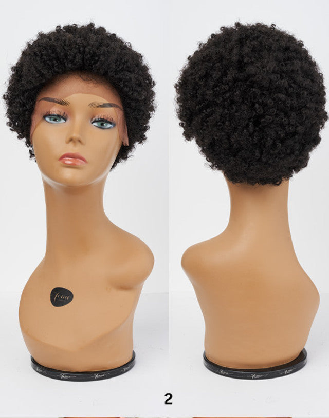 Afro Lace Wig - Classic Kinks