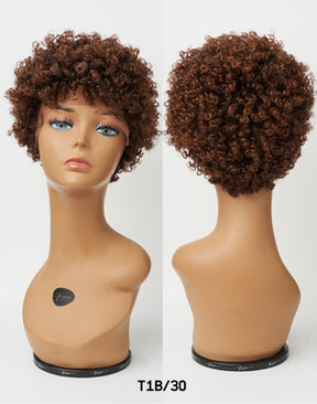 Afro Lace Wig - Soft Natural Curl