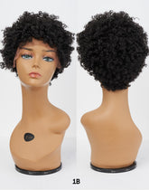 Afro Lace Wig - Soft Natural Curl