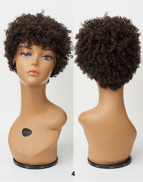 Afro Lace Wig - Soft Natural Curl