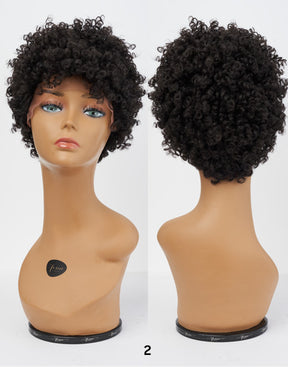 Afro Lace Wig - Soft Natural Curl