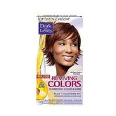 Dark and Lovely Reviving Colors Spicy Auburn 393 with Shea Butter